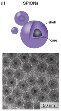 SPION : Eisenoxid-Kern mit wasseranziehender Hülle. © Kunzmann et al., 2011.
