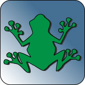 Icon Frosch