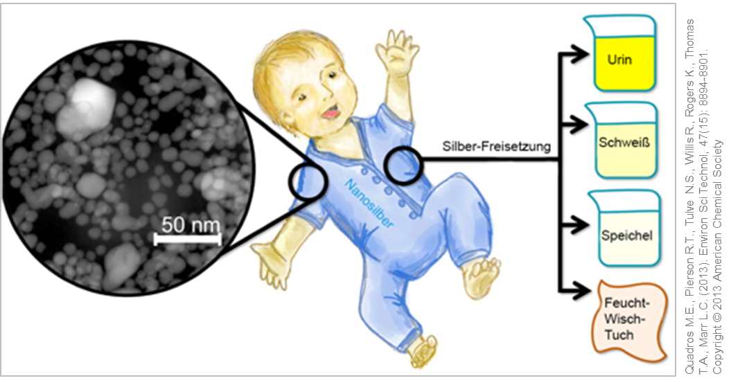 Forschungsansatz der Veröffentlichung Quadros et al. von 2013, bei dem (nano)silber-hlatige Kleidung von Kindern auf die Freisetzung von Silber-Ionen beim Tragen der Kleidung untersucht wurde